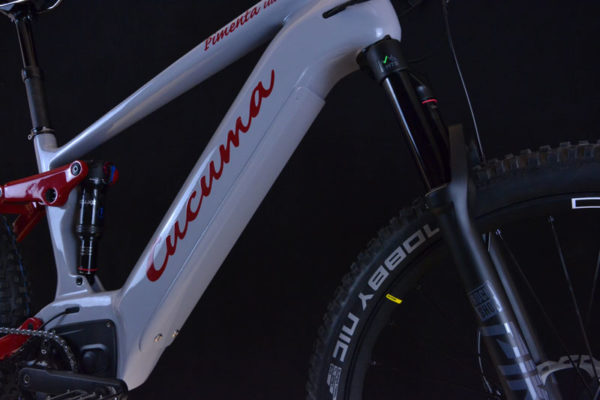 Akku Akku Pimenta Ultra Carbon von Cucuma_ E-Bike