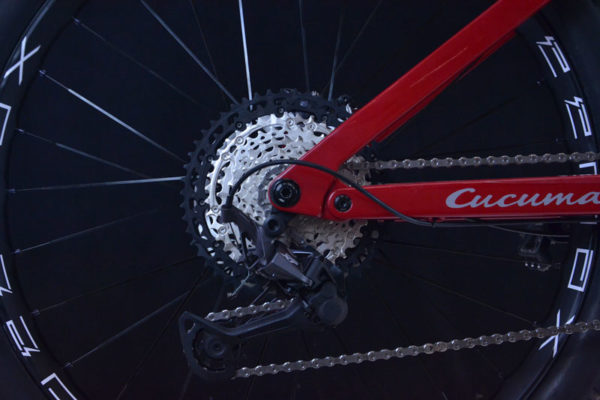 Antrieb Antrieb Pimenta Ultra Carbon von Cucuma_ E-Bike