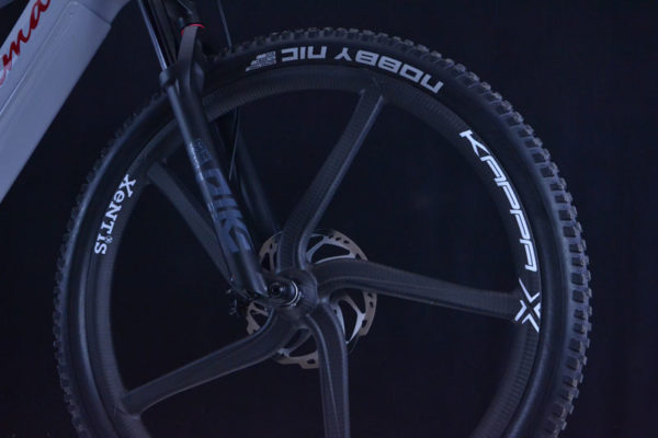 Variante-2 Bike Pimenta Ultra Carbon von Cucuma_ E-Bike_ Variante 2