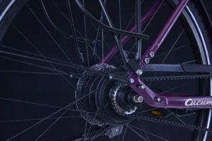 Enviolo E-Bike Beta von Cucuma_ Trekking E-Bike_ Enviolo Nabenschaltung