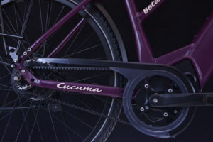 Riemen E-Bike Beta von Cucuma_ Trekking E-Bike_ Riemenantrieb