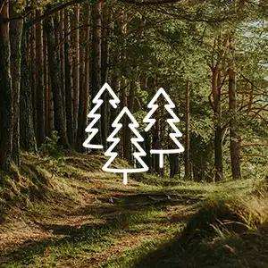 Wald Bäume grün Icon weiß