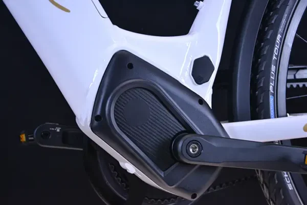 Motor Das Trekking E-Bikes Gamma von Cucuma mit Brosemotor